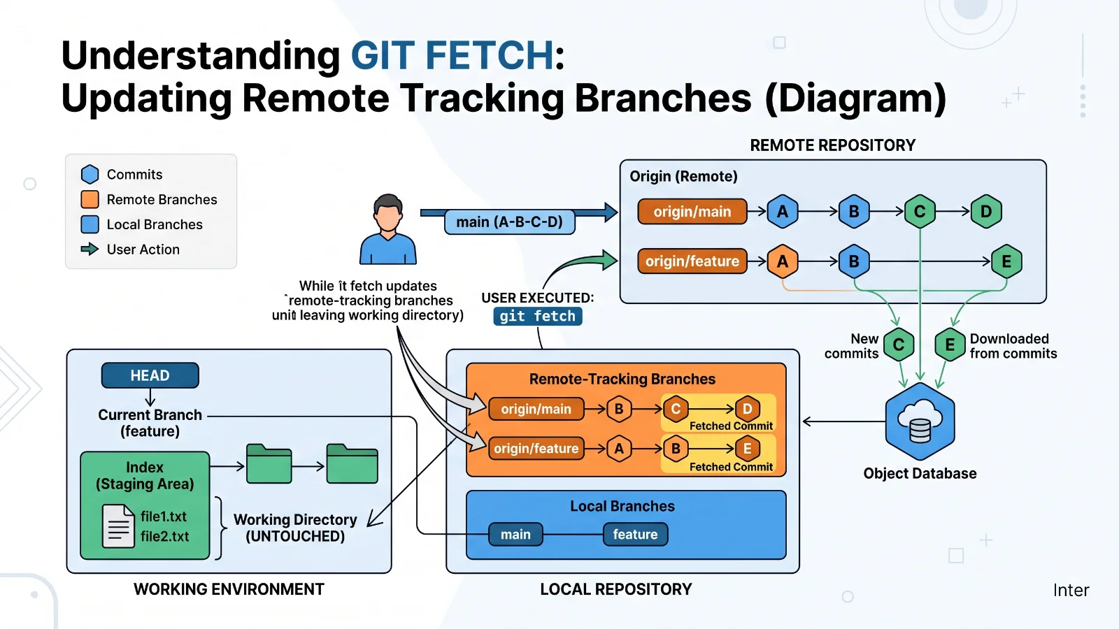 Diagram showing how git fetch isolates updates from the working directory